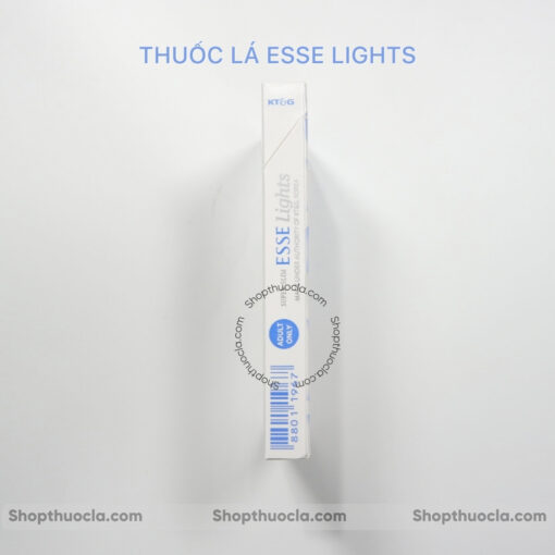ESSE LIGHTS TPHCM