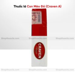 mèo đỏ thuốc lá