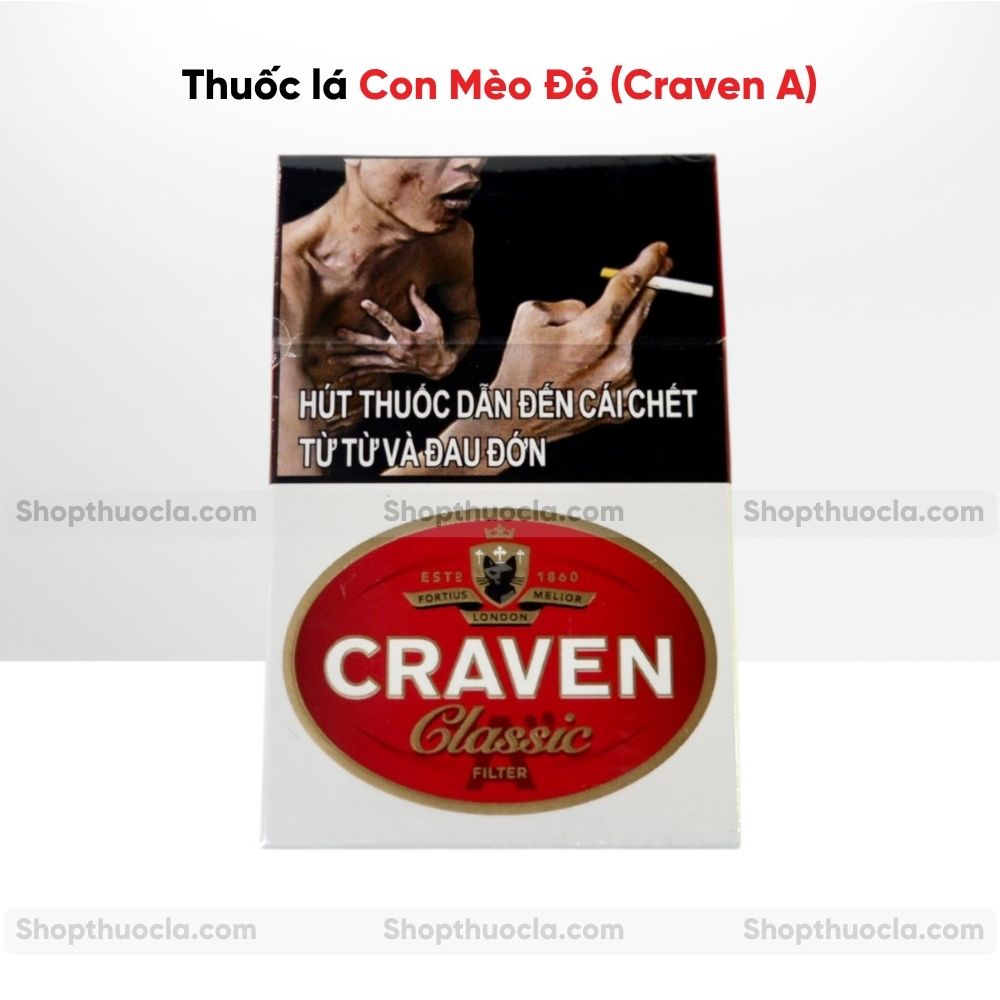 thuốc lá con mèo thuốc lá con mèo