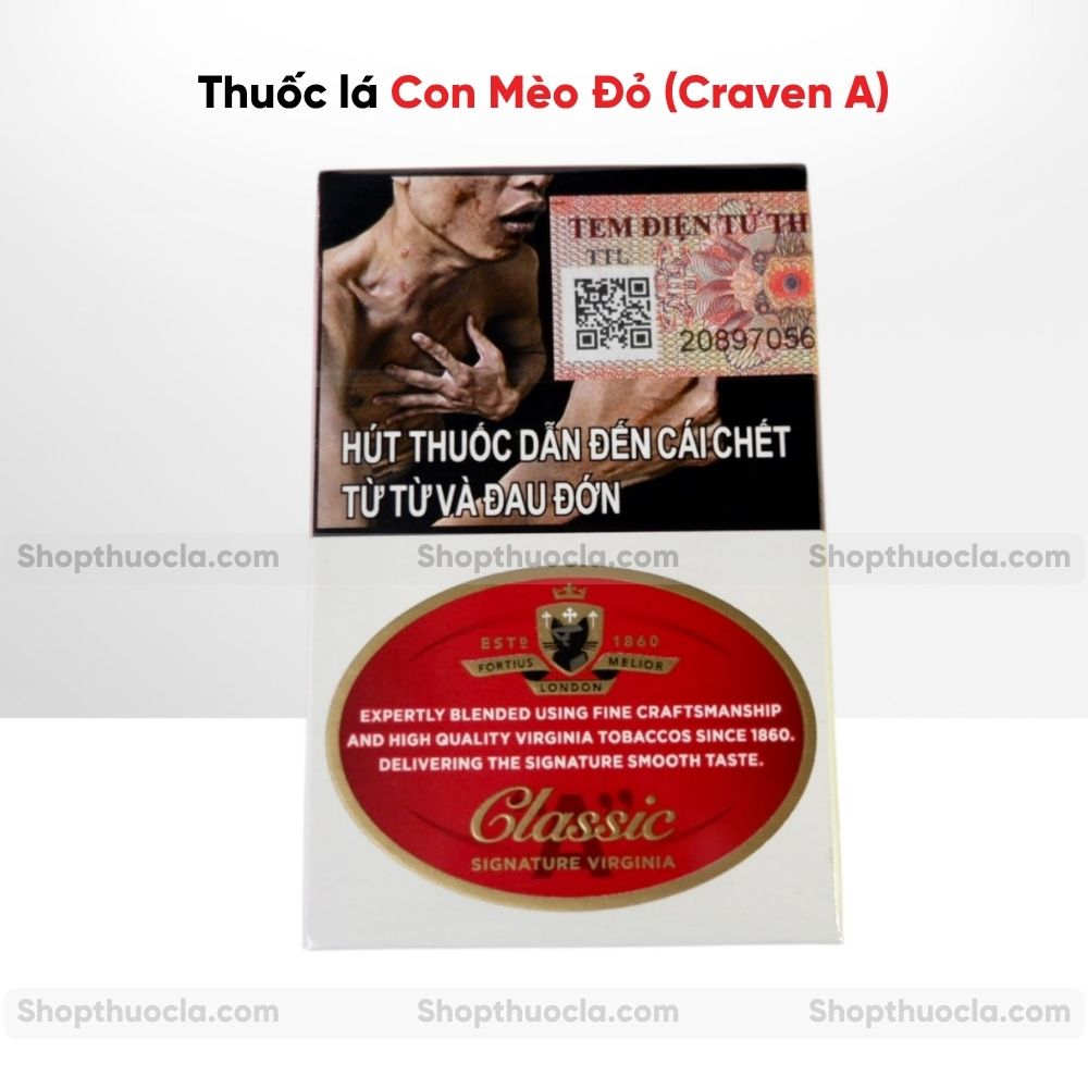 thuốc mèo đỏ giá bao nhiêu 1 cây thuốc mèo đỏ giá bao nhiêu 1 cây